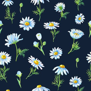 Güzel beyaz papatya karanlık bir arka plan üzerinde. Papatya ile suluboya soyut seamless modeli