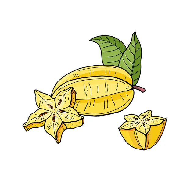 Carambola of starfruit. gele tropische vruchten en stukjes op witte achtergrond. — Stockvector
