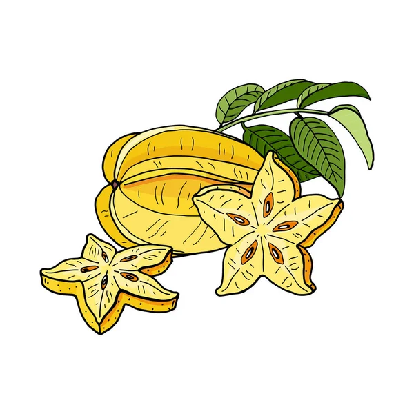 Carambola of starfruit. gele tropische vruchten en stukjes op witte achtergrond. — Stockvector