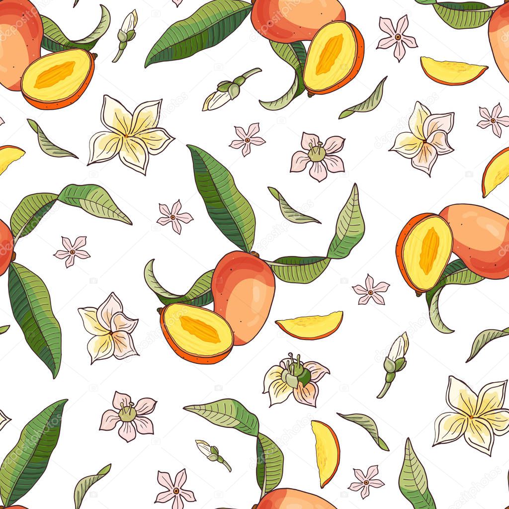 Mango.Seamless pattern with yellow and red tropical fruits and pieces on white