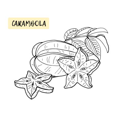 Carambola veya Starfruit. Çocuklar için boyama kitabı. Tropikal meyve ve beyaz arka plan üzerinde parçalar. Yaz vektörü