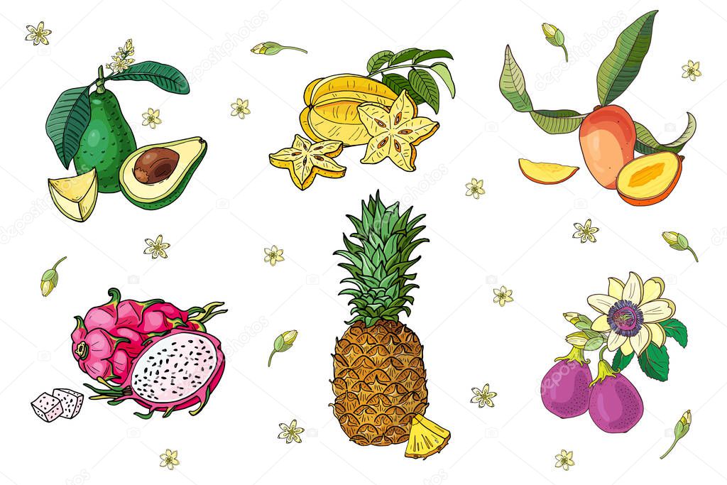 Set of exotic fruits.Avocado,carambola,mango,pitahaya,pineapple,passion fruit.Isolated image on white