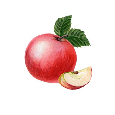 Parça, beyaz bir arka plan üzerinde yeşil yaprakları ile kırmızı elma. Yaz, sonbahar