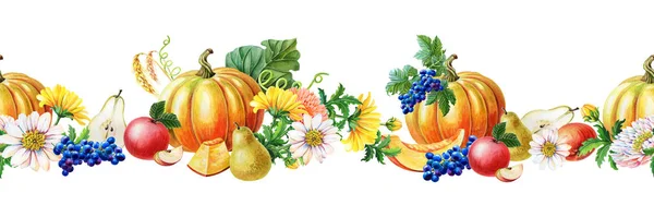 Naadloze rand van Oranje pompoen, blauwe druif, rode appel, peer. Aquarel illustratie op witte achtergrond. — Stockfoto