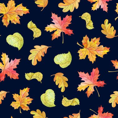 Suluboya beyaz arka plan üzerinde akçaağaç, huş, meşe bırakır. Parlak sorunsuz desen