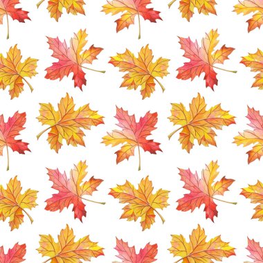 Suluboya beyaz bir arka plan üzerinde bırakır. Parlak kusursuz desen. Suluboya