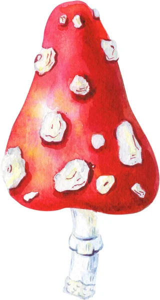 Η τέχνη του υδατογραφίας. Φωτεινό κόκκινο μανιτάρι με τελείες στο καπέλο. — Φωτογραφία Αρχείου