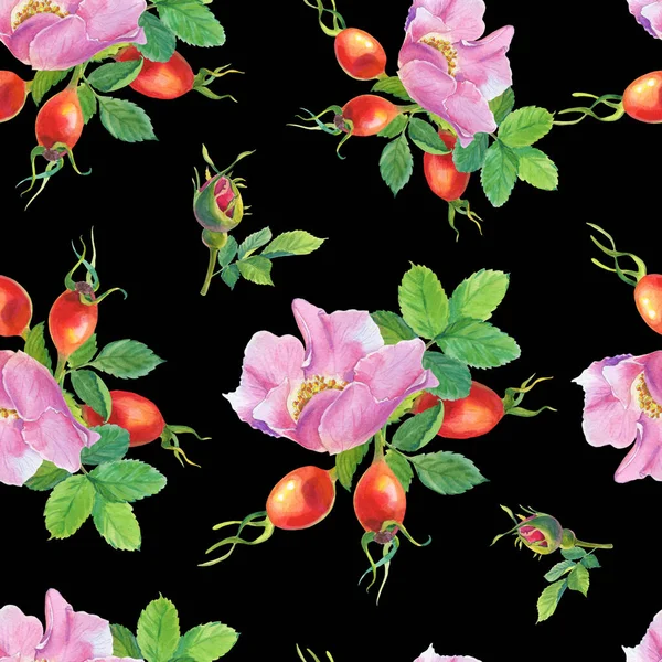 Rose Hip,Watercolor wild rose flowers on a black background illustration. Fruit of Dog-rose.Seamless pattern.