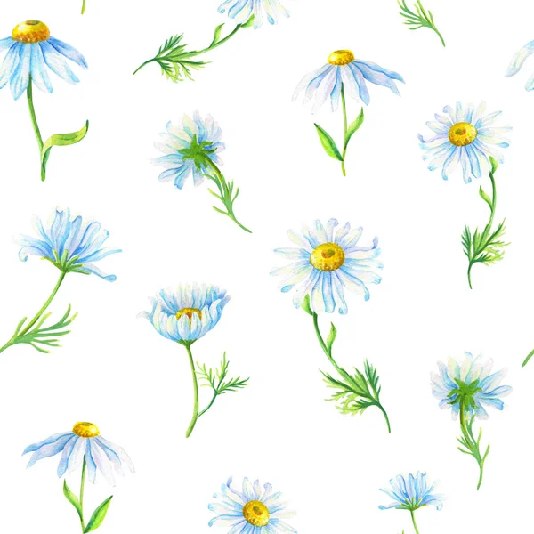 Aquarell-Kamille auf weißem Hintergrund. Abstraktes nahtloses Muster mit Gänseblümchen-Blüten — Stockfoto