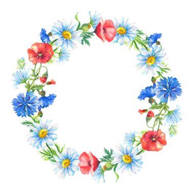 Çerçeve. Bir buket beyaz papatya çayı, kırmızı haşhaş, mısır çiçeği. Dekorasyon için soyut çiçek. Suluboya çiçek çizimi.