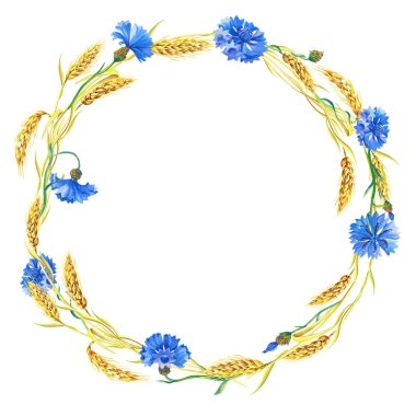 Watercolor wreath of blue cornflowers, ears of ripe wheat.Beautiful bright frame with blue flowers,green leaves. clipart