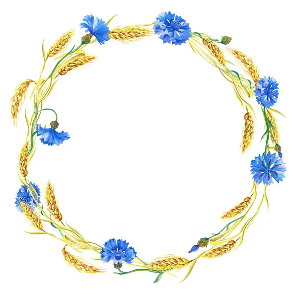 Akvarell koszorú kék búzavirág, fülek érett búza.Gyönyörű fényes keret kék virágok, zöld levelek. — Stock Fotó