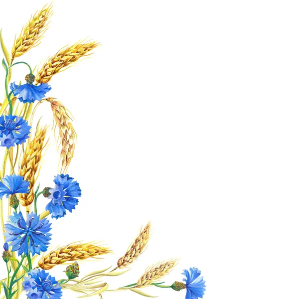 Κάρτα ακουαρέλας με άνθη καλαμποκιού, αυτιά ώριμου σιταριού. Όμορφο φωτεινό μπουκέτο από μπλε λουλούδι — Φωτογραφία Αρχείου