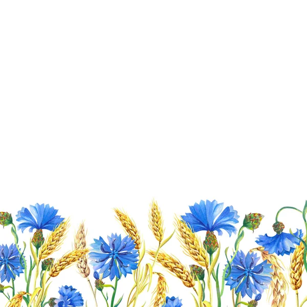 Çiçekli suluboya kart, olgun buğday kulakları. Güzel, parlak mavi çiçekler.