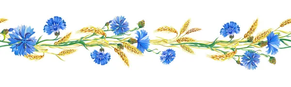Banner aquarela com flores de milho, orelhas de trigo maduro. Bela borda brilhante com buquê de flores azuis . — Fotografia de Stock