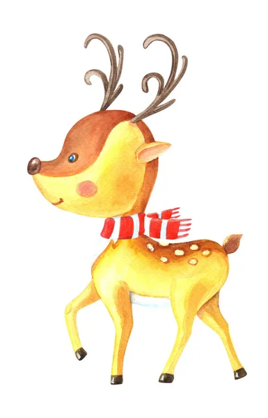 Watercolor small deer with horns and spots. Cute cartoon animal with red striped scarf is coming.Isolated image on a white — Stock Photo, Image