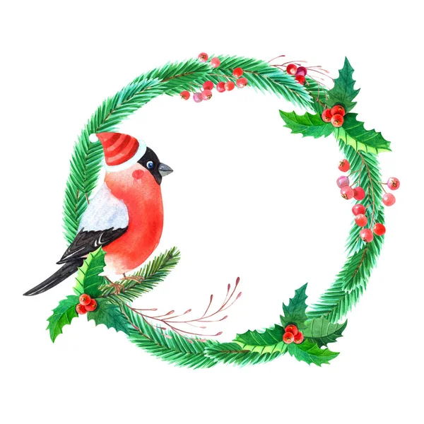 워터 컬러 크리스마스 Wreath with Bullfinch, Holly, pine, spruce, leaves, berries on white background .Winter Robin bird, with red breast feathers — 스톡 사진