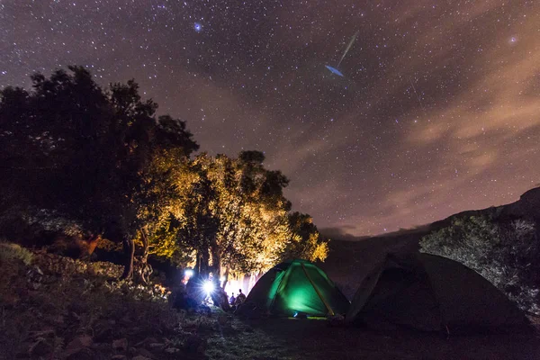 星が空に夜でたき火を持つフォレスト — ストック写真