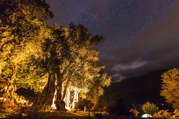 星が空に夜でたき火を持つフォレスト — ストック写真