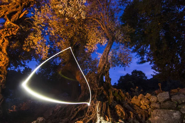 Trójkąt światła w nocy w lesie — Zdjęcie stockowe