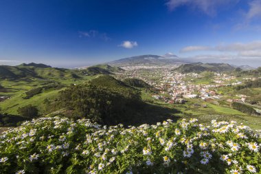 gündoğumu papatya ve dağ köyleri ve teide Yanardağı manzaralı