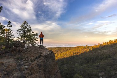 kayanın üzerinde gündoğumu orman aşağıdaki ile ayakta adam