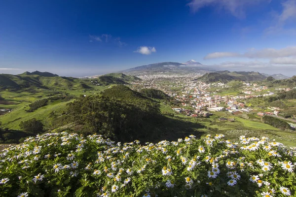 Soluppgång med utsikt över bergen och kamomill byar och teide vulkanen — Stockfoto