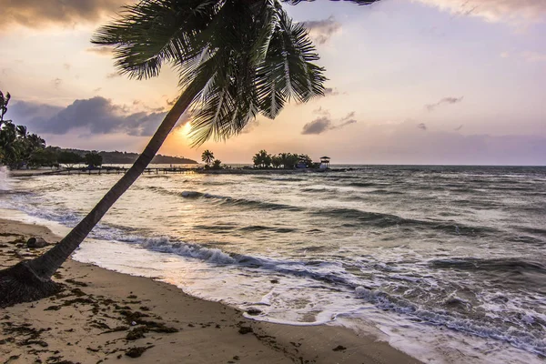 okyanus deniz kıyısı ile gündoğumu Palm'da Samui Adası