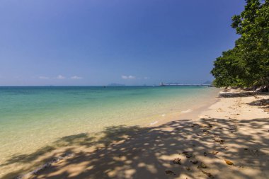 mavi okyanus plaj ve su Samui Island Palm'da gölgesi