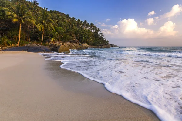 Ocean seashore with palm at sunrise in Phangan island — Stock Photo, Image