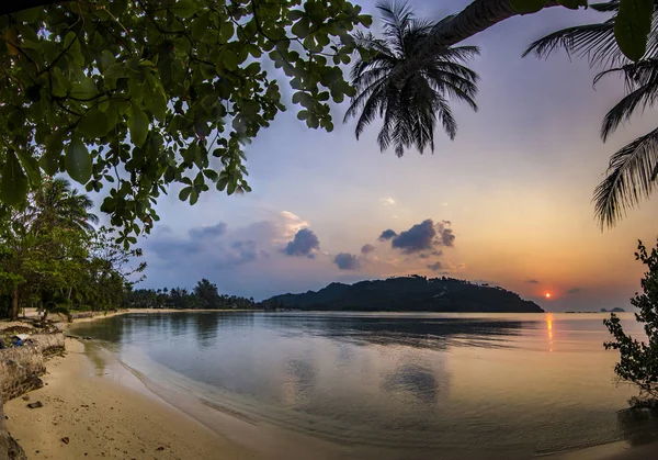 Mar litoral com palma ao nascer do sol na ilha de Phangan — Fotografia de Stock