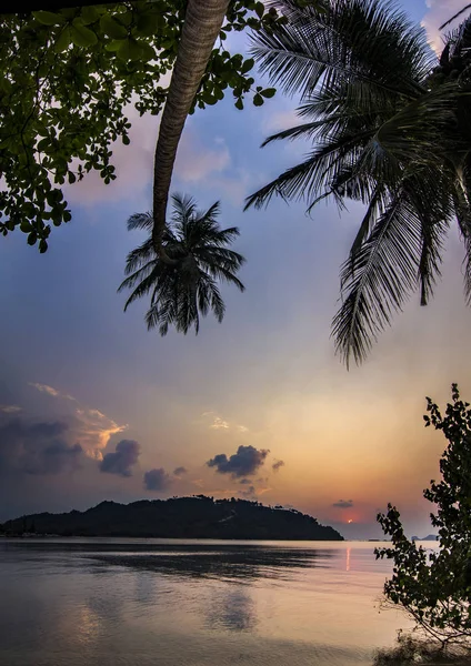 Meeresküste mit Palmen bei Sonnenaufgang in Phangan Island — Stockfoto