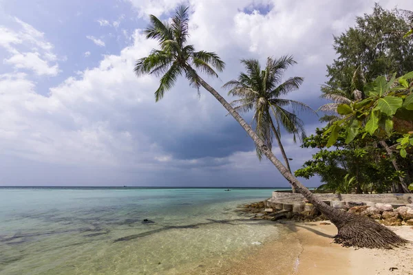 La orilla del mar con palma al amanecer en la isla de Phangan Fotos de stock