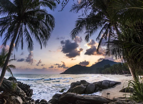 Meeresküste mit Palmen bei Sonnenaufgang in Phangan Island — Stockfoto