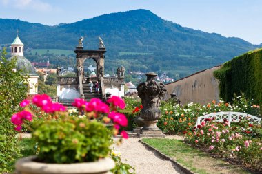 Decin, Çek Cumhuriyeti - 19 Eylül 2018: Bahçe, kale bahçeleri, kasaba Decin, kuzeye Bohemia, Çek Cumhuriyeti gül