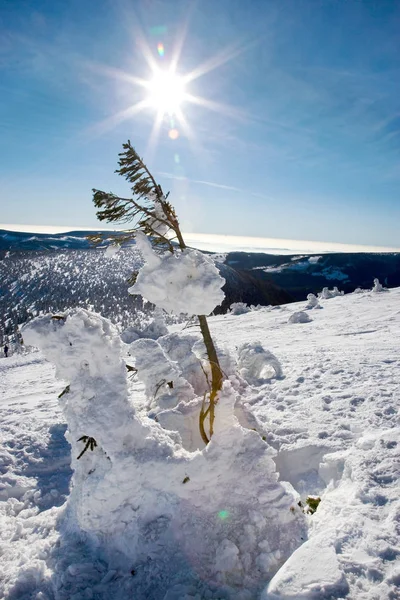 Snowy Winter Countryside Snezka Mount Ruzova Hora Krkonose Giant Mountains — Stock Photo, Image