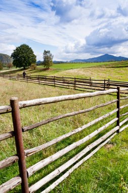 pasturages ve çayırlar yakınındaki Vysoka Lipa, Jetrichovice region, Çek İsviçre, Çek Cumhuriyeti