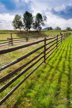 pasturages ve çayırlar yakınındaki Vysoka Lipa, Jetrichovice region, Çek İsviçre, Çek Cumhuriyeti