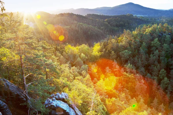 Veduta Marianina Dal Punto Vista Vilemina Regione Jetrichovice Svizzera Ceca — Foto Stock