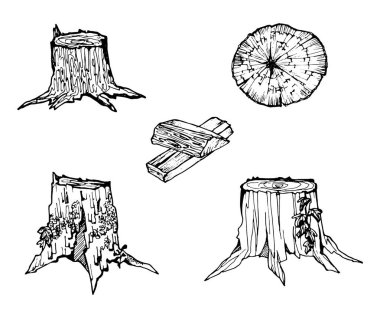 Stump set el çizimi grafik illüstrasyonu