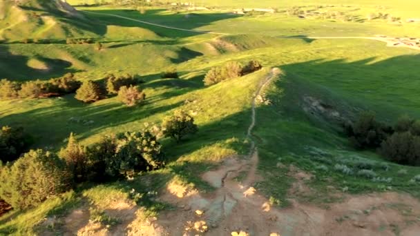 South Dakota Landscape South Dakota Black Hills Aerial View — Stock Video