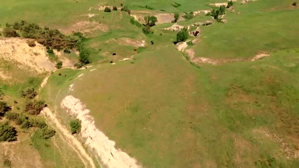 South Dakota Landschaft South Dakota Schwarzen Hügeln Luftbild — Stockvideo