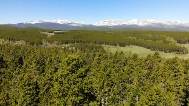 Beautiful Landscape Yellowstone National Park Wyoming Usa Aerial View Drone — Stock Video