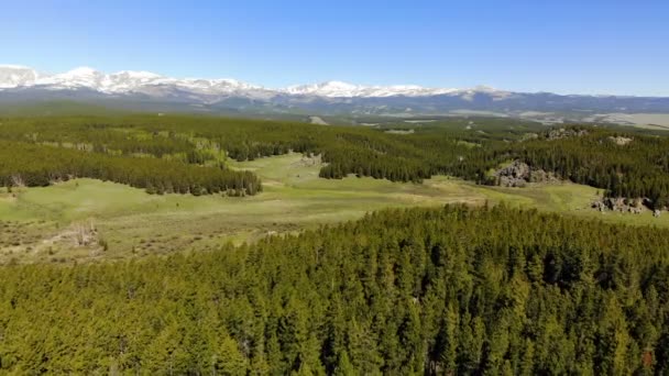 Beautiful Landscape Yellowstone National Park Wyoming Usa Aerial View Drone — Stock Video