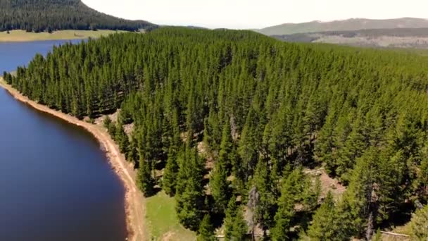 美しい風景上からワイオミング州米国でイエローストーン国立公園の近くです 撮影空撮ドローン — ストック動画