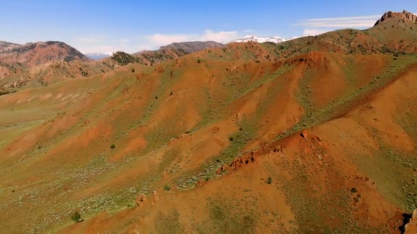Hory Usa Wyoming Shora Letecký Pohled Drony Zastřelil — Stock video