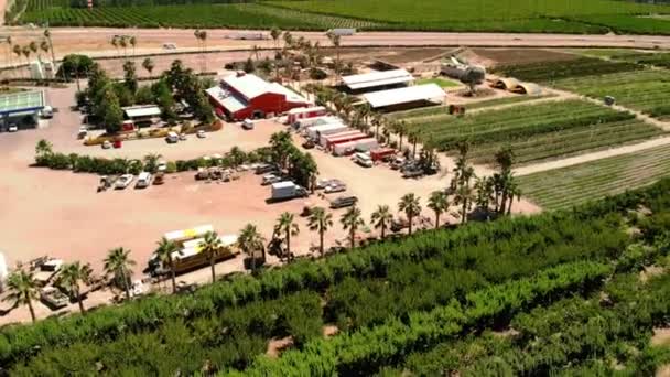 Agricultura Agricultura Tierras Cultivo Frutas Hortalizas Dron Aéreo Disparó Sobre — Vídeo de stock