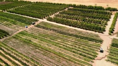 Tarım. Büyüyen meyve ve Sebze bitkileri tarım tarım arazi. Hava dron California kırsal alanlara atış. Satır yukarıdaki bitkilerin. 