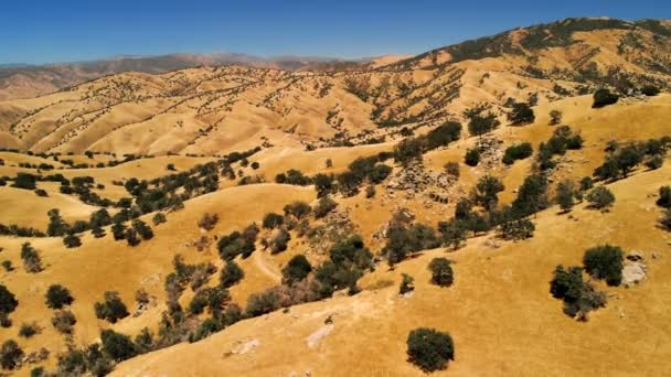 캘리포니아에서 풍경입니다 언덕입니다 남서부 건조입니다 위에서 — 비디오