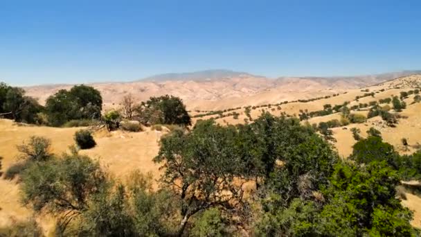 Malerische Landschaft Kalifornien Vereinigte Staaten Wüste Berge Sanddünen Der Trockene — Stockvideo